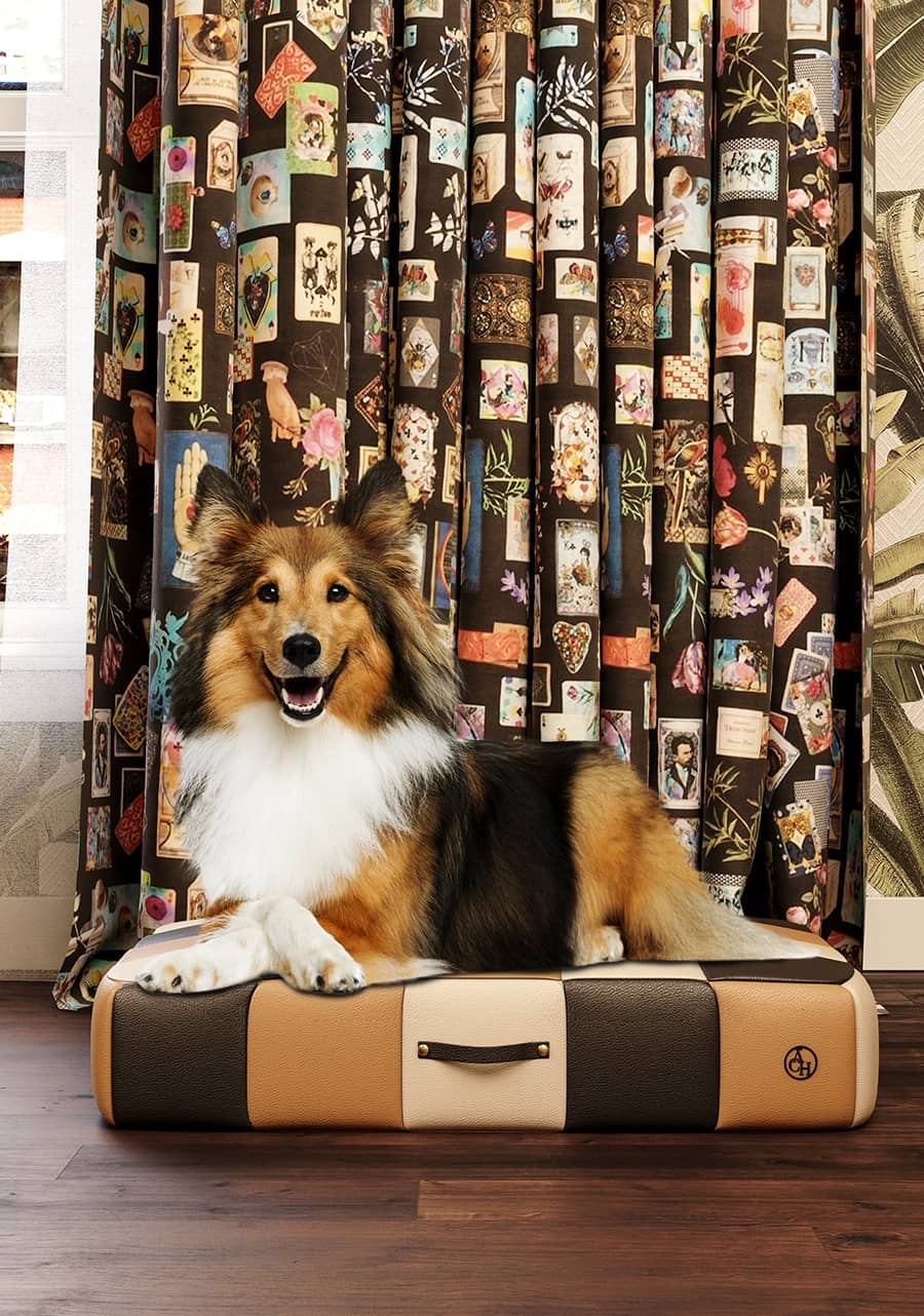 Pet Friendly Rugs, Rugs For Pets, Pets Collection