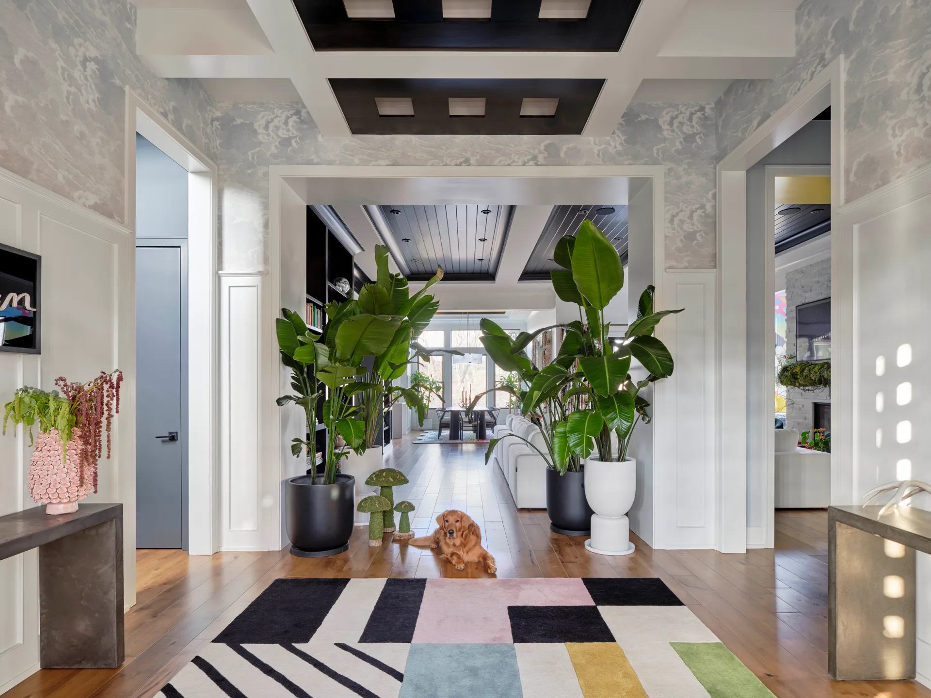 Geometric Area Rug : Interior Design By Fawn Galli