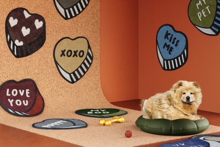 What Are Pet Friendly Rugs And Their Best Materials For Your Best Friend Spot?